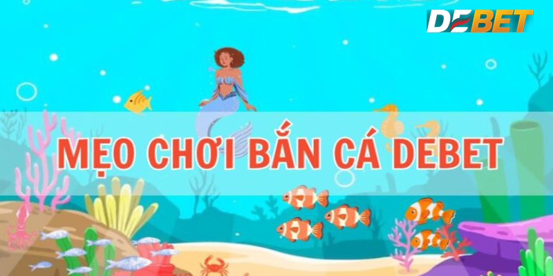 Lập Chiến Lược Cược Hợp Lý